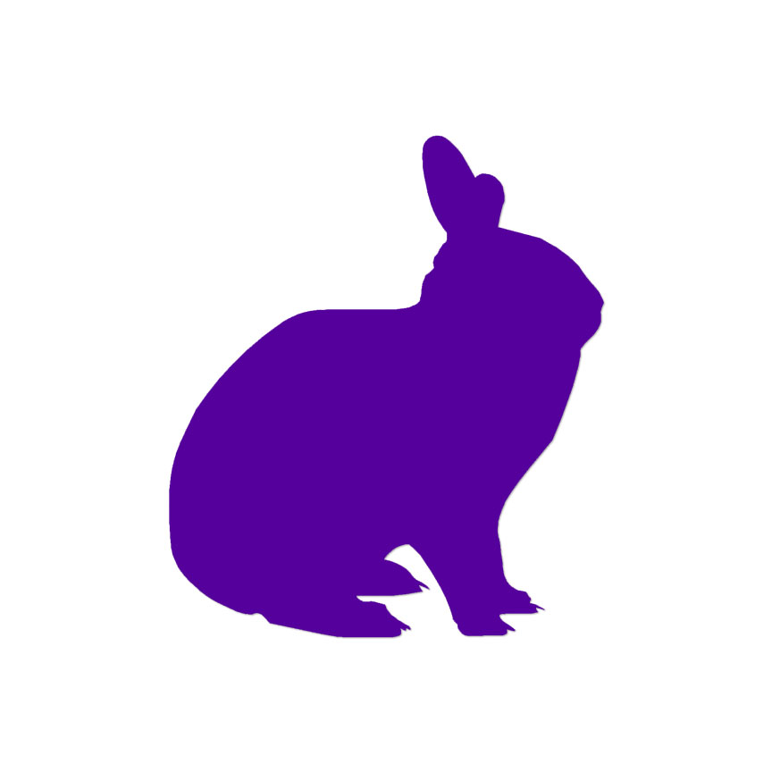 Bunny Jack Rabbit - Vinyl Decal Sticker - Multiple Colors & Sizes